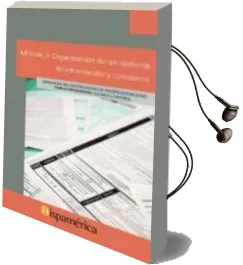 Descargar AudioLibro Organización de un Sistema de Información y Consumo de Varios Autores año 1990