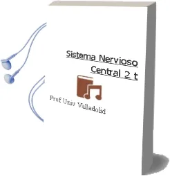 Descargar AudioLibro Sistema Nervioso Central (2 t. de Prof.Univ.Valladolid año 1990