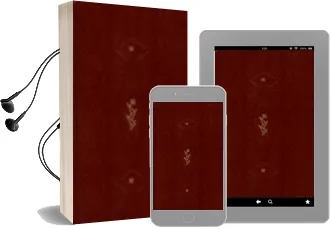 Descargar AudioLibro Obras Completas de Freud t. 3 de Sigmund Freud año 1996