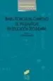 AudioLibro Bases Teoricas del Curriculo de Matematicas en Educacion Secundar ia de Luis Rico Romero
