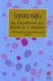 AudioLibro La Pizarra Magica: Una Vision Diferente de la Historia de la Educ Acion de Jose Francisco Guerrero Lopez