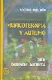 AudioLibro Musicoterapia y Autismo: Didi, Duende Autista de Victor Del Rio