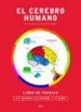 AudioLibro El Cerebro Humano: Libro de Trabajo de M. C. Diamond