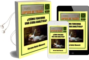 Descargar AudioLibro ¿Como Funciona una Cura Analitica? de Gorana Bulat Manenti año 2016