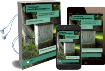 Descargar AudioLibro Psicoterapia de Orientacion Jungiana. una Perspectiva Integrativa de la Psicologia Analitica de Javier Castillo Colomer año 2017